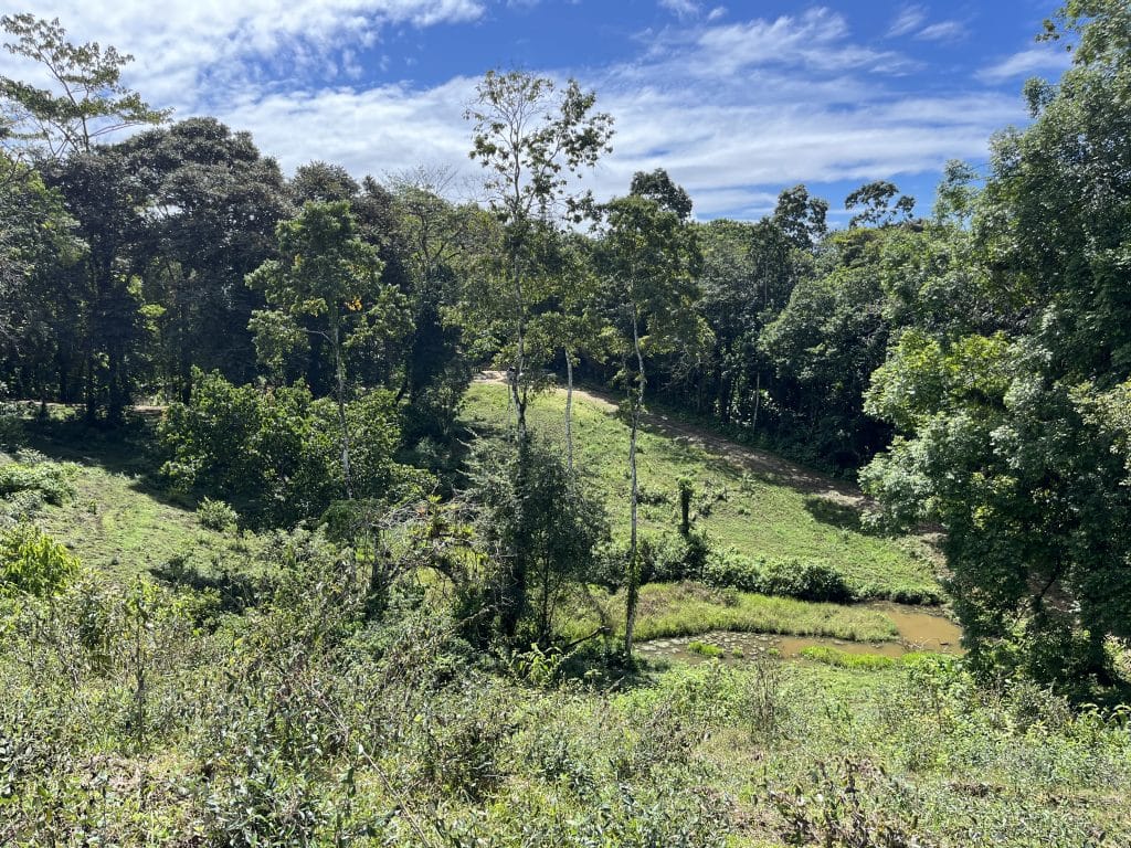 12,519 m² off-grid agricultural land for sale on Isla Colón, Bocas del Toro — photo 16