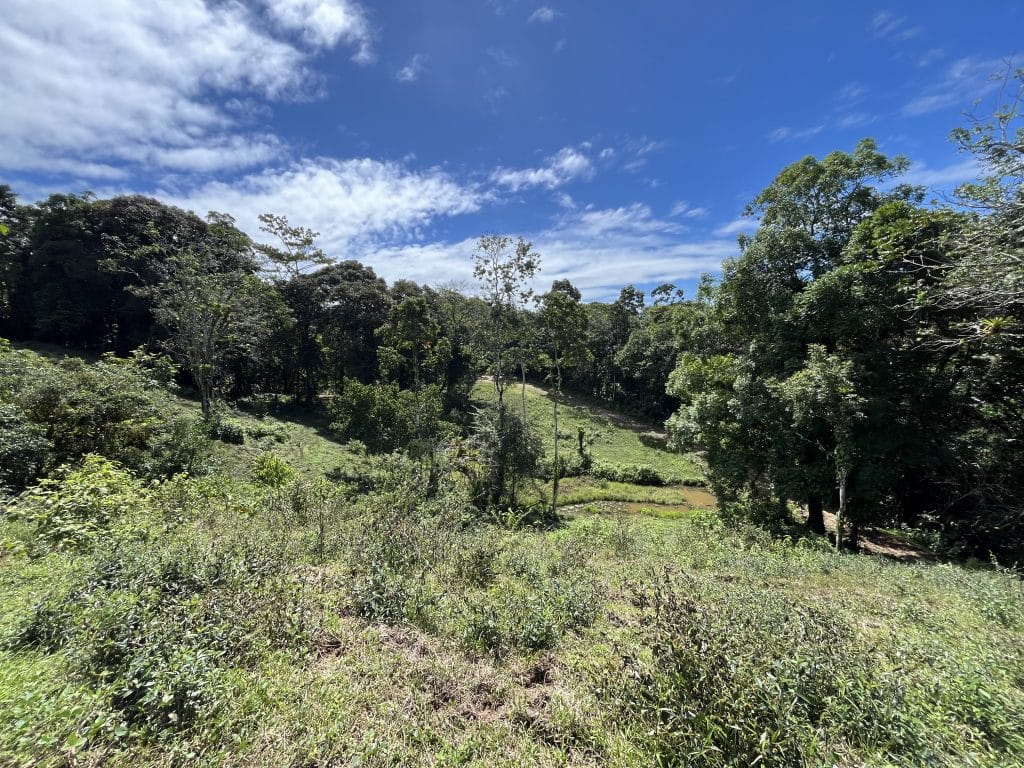 12,519 m² off-grid agricultural land for sale on Isla Colón, Bocas del Toro — photo 17