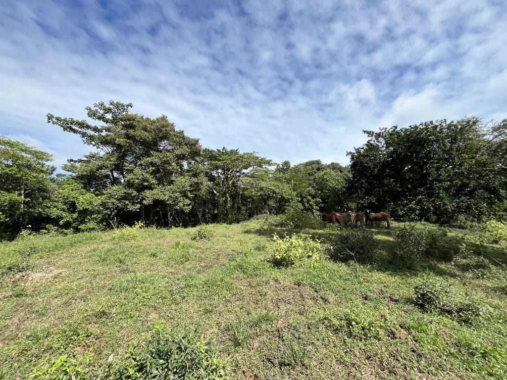 12,519 m² off-grid agricultural land for sale on Isla Colón, Bocas del Toro — photo 18
