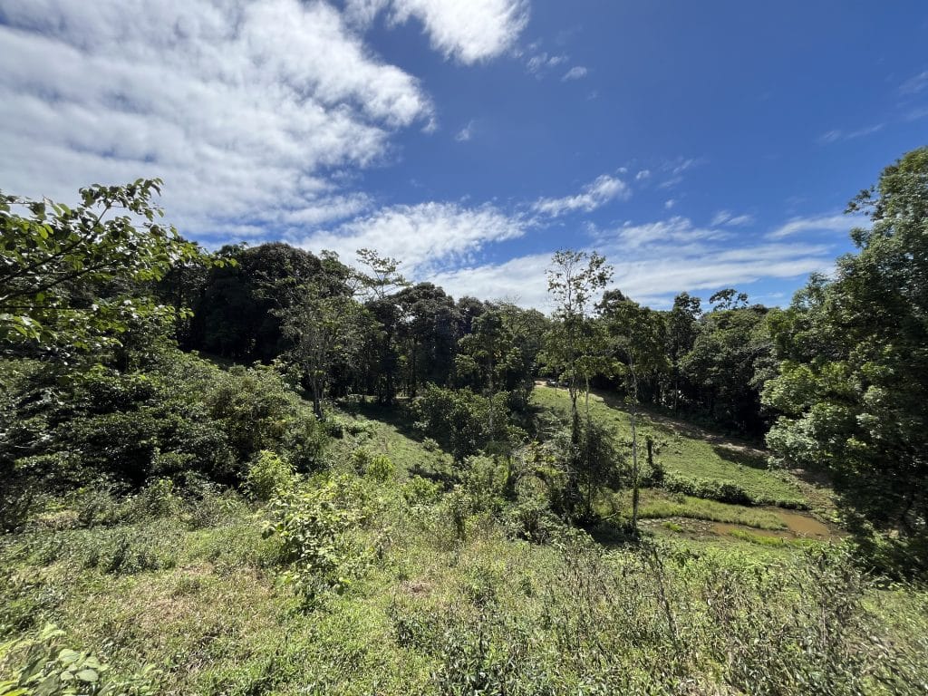 12,519 m² off-grid agricultural land for sale on Isla Colón, Bocas del Toro — photo 19