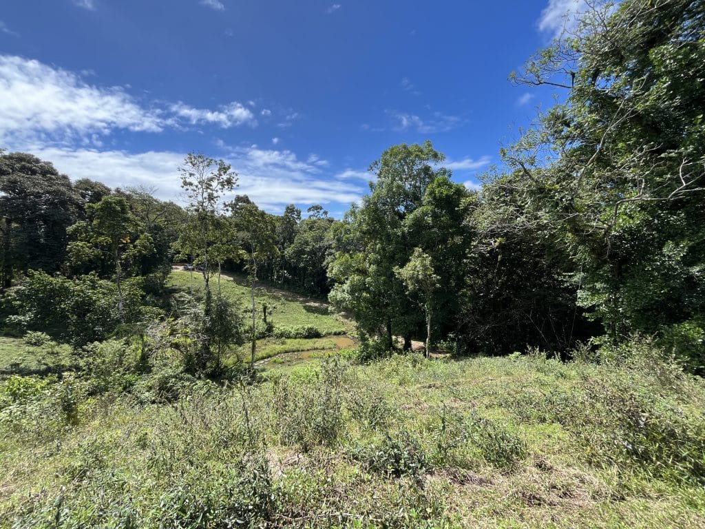 12,519 m² off-grid agricultural land for sale on Isla Colón, Bocas del Toro — photo 20
