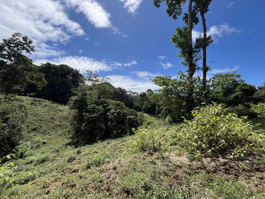 12,519 m² off-grid agricultural land for sale on Isla Colón, Bocas del Toro — photo 23