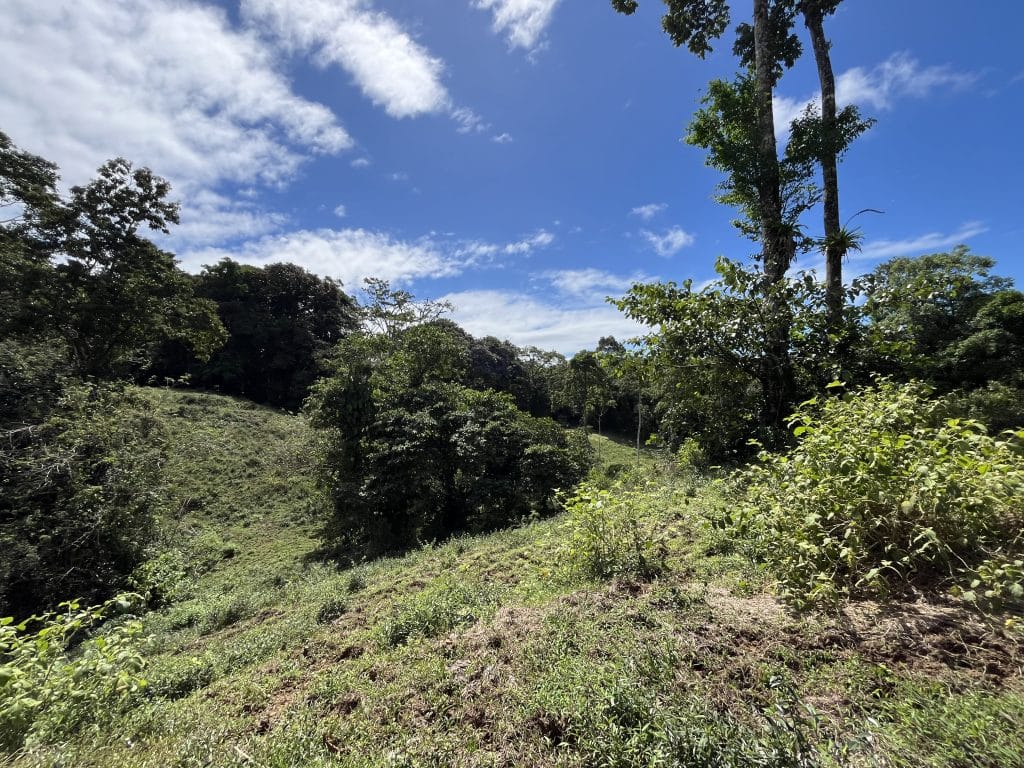 12,519 m² off-grid agricultural land for sale on Isla Colón, Bocas del Toro — photo 24