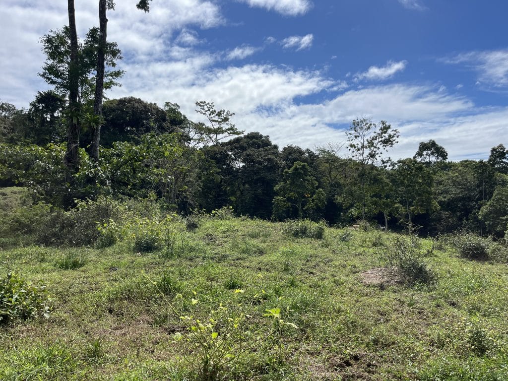 12,519 m² off-grid agricultural land for sale on Isla Colón, Bocas del Toro — photo 26