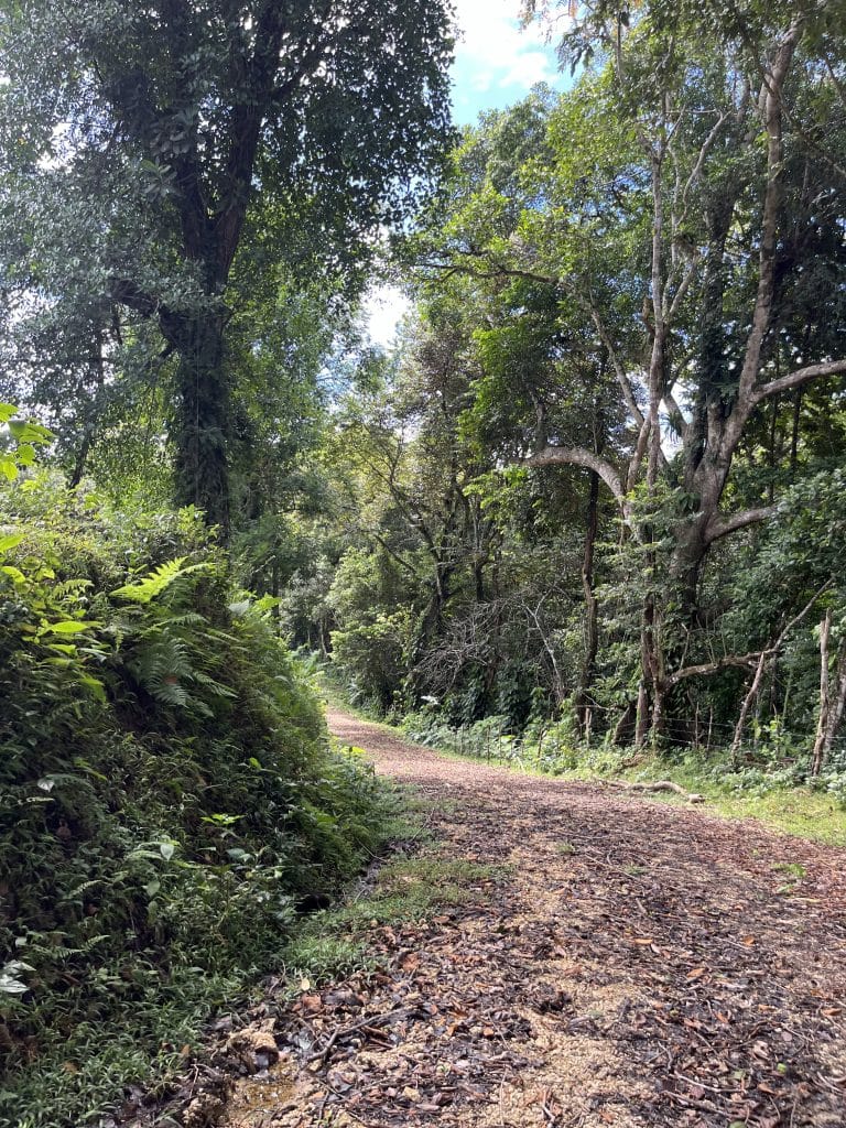 12,519 m² off-grid agricultural land for sale on Isla Colón, Bocas del Toro — photo 27