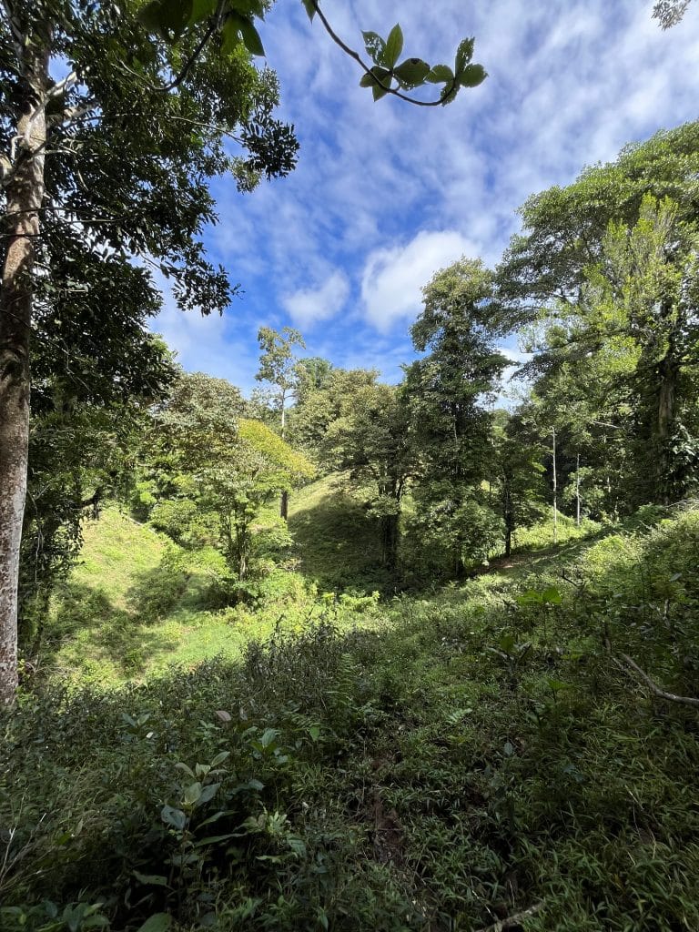 12,519 m² off-grid agricultural land for sale on Isla Colón, Bocas del Toro — photo 29