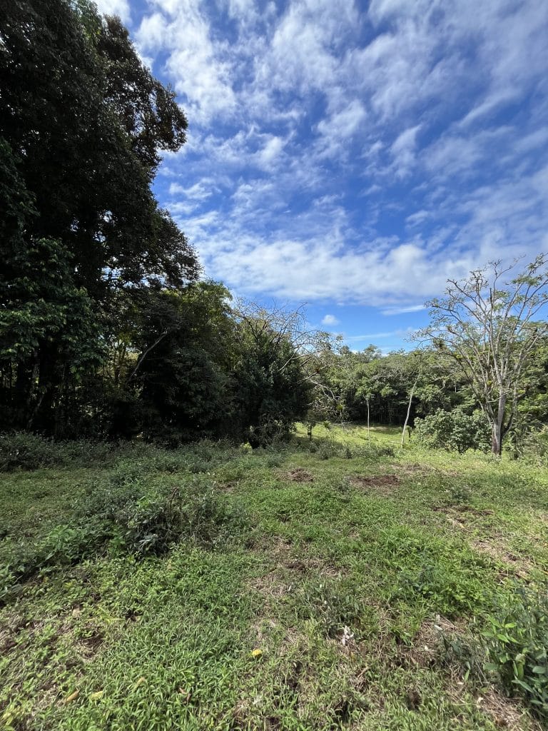 12,519 m² off-grid agricultural land for sale on Isla Colón, Bocas del Toro — photo 31