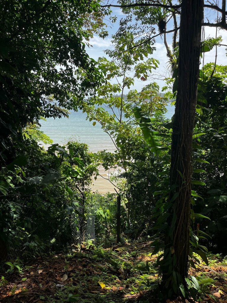 Off-grid cabin and titled land for sale on Isla Solarte, Bocas del Toro — photo 8