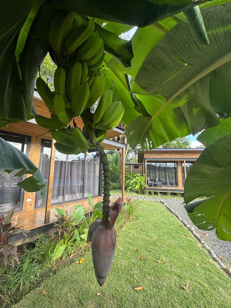 Five-bungalow income property with pool for sale in Big Creek, Bocas del Toro — photo 15