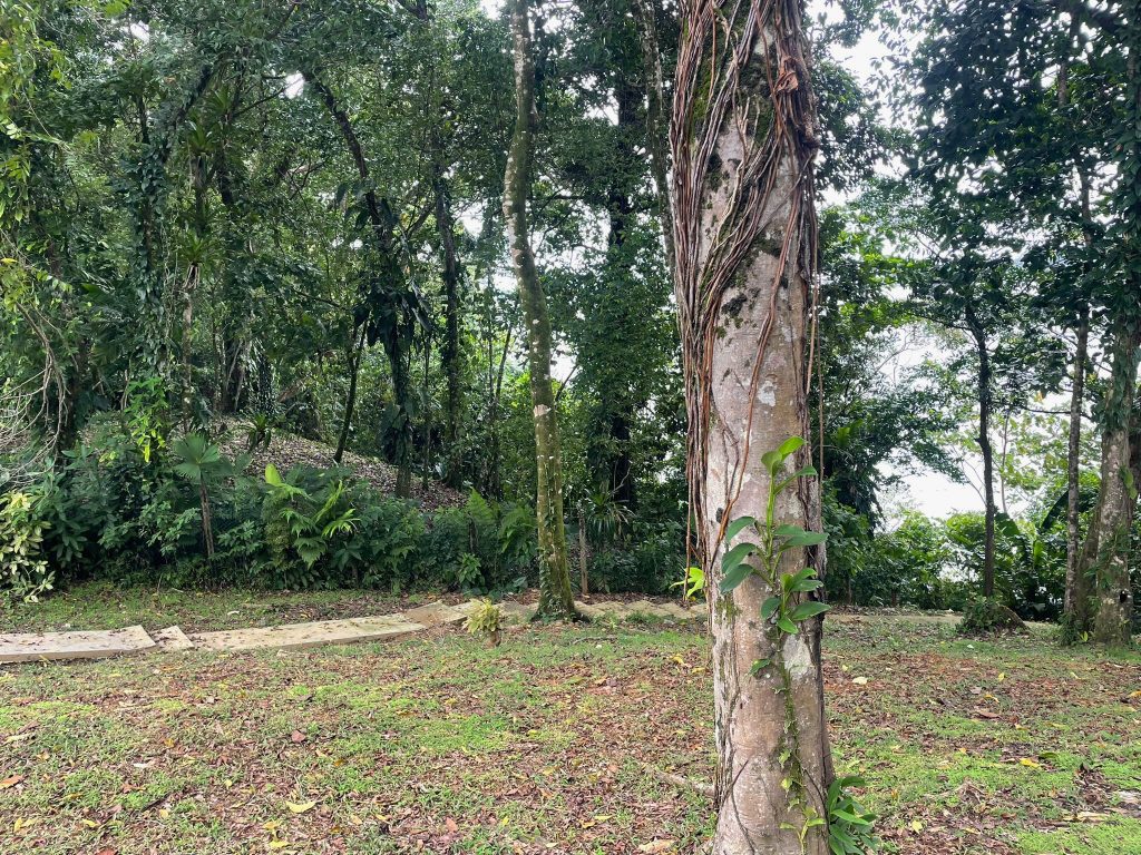 Off-grid cabin and titled land for sale on Isla Solarte, Bocas del Toro — photo 13